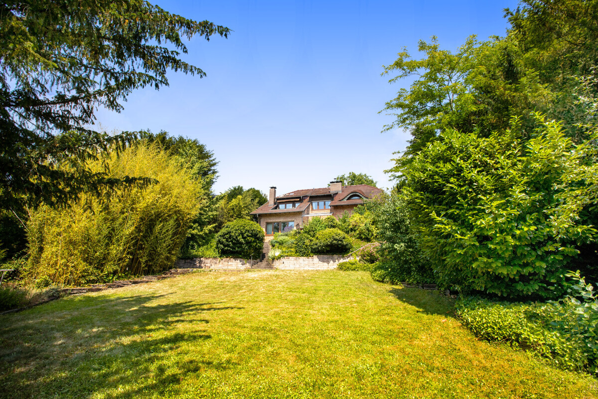 Ansicht von Garten