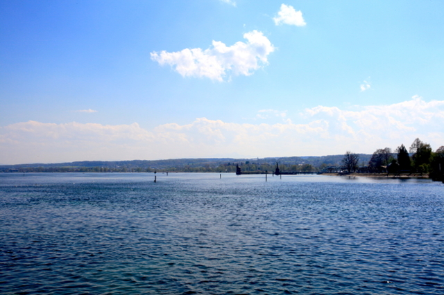 Rhein Schweizer Ufer