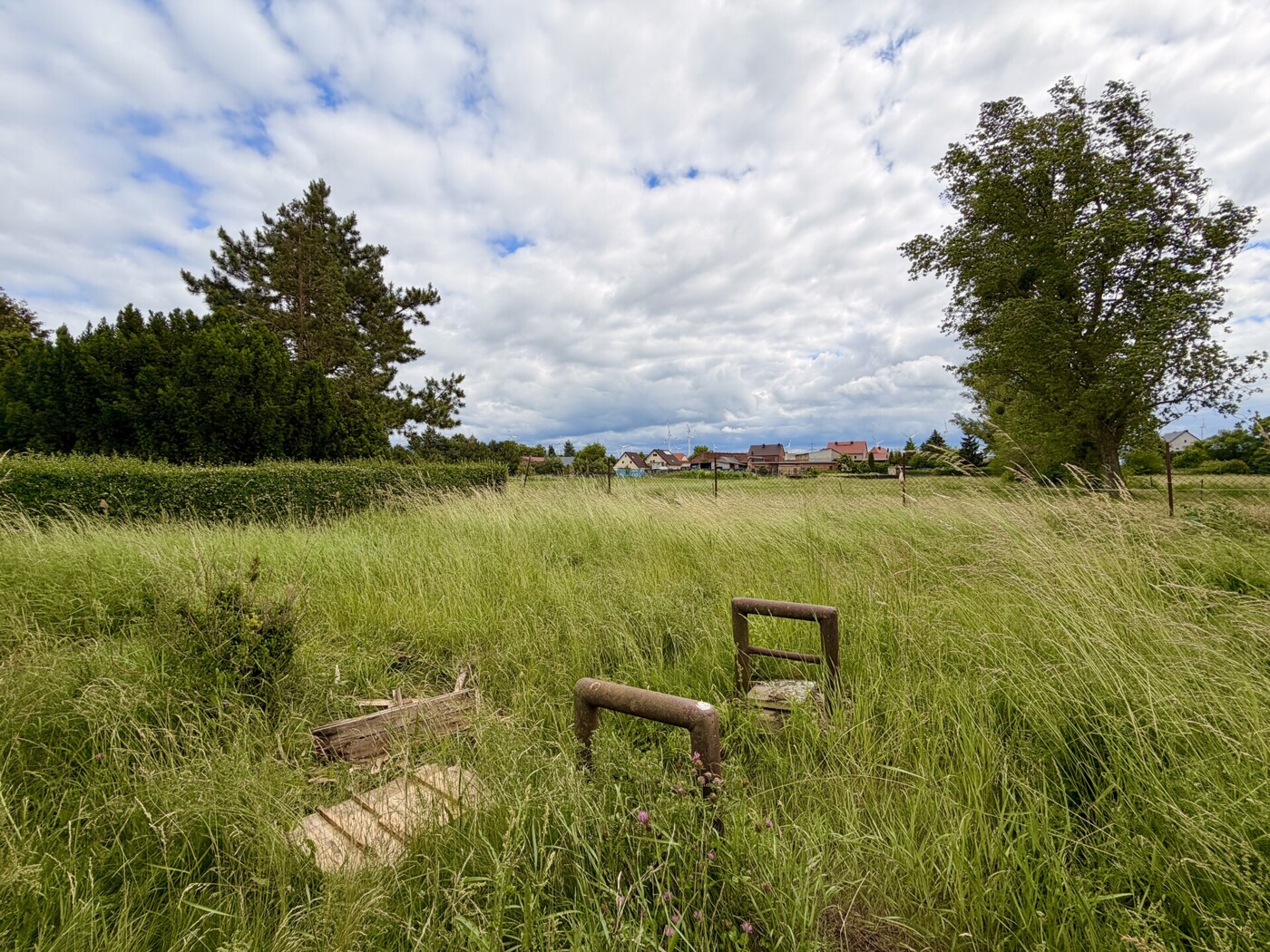Blick ins Grüne