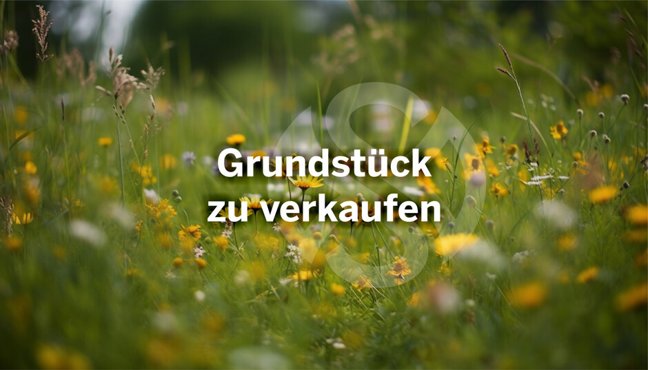Unbenannt-1
