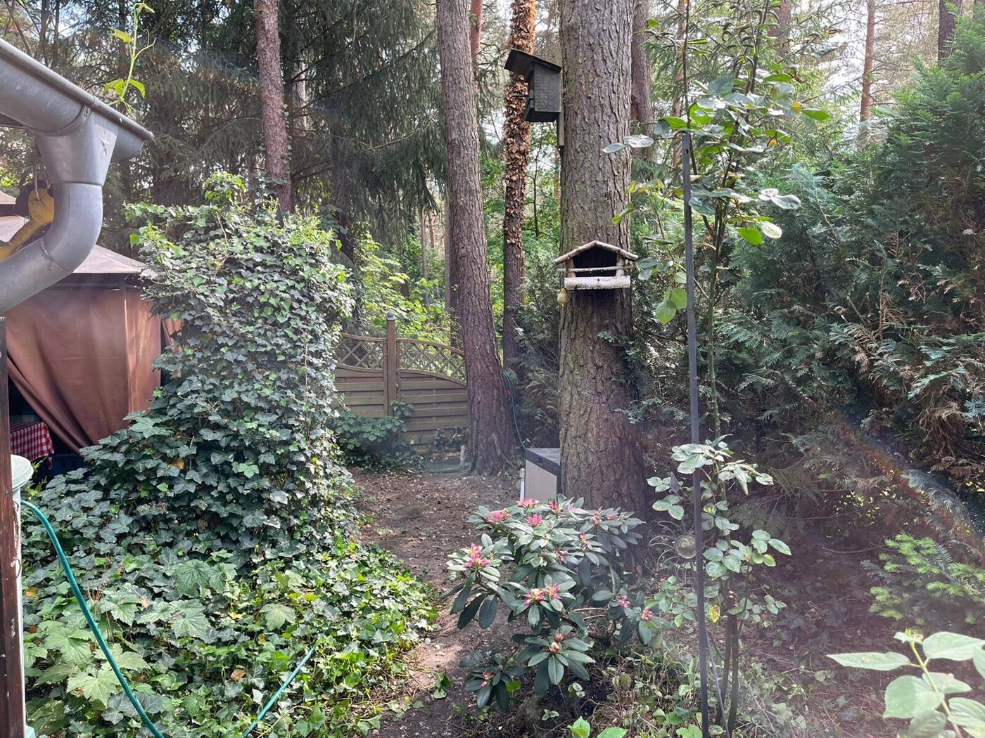 Gartenbereich
