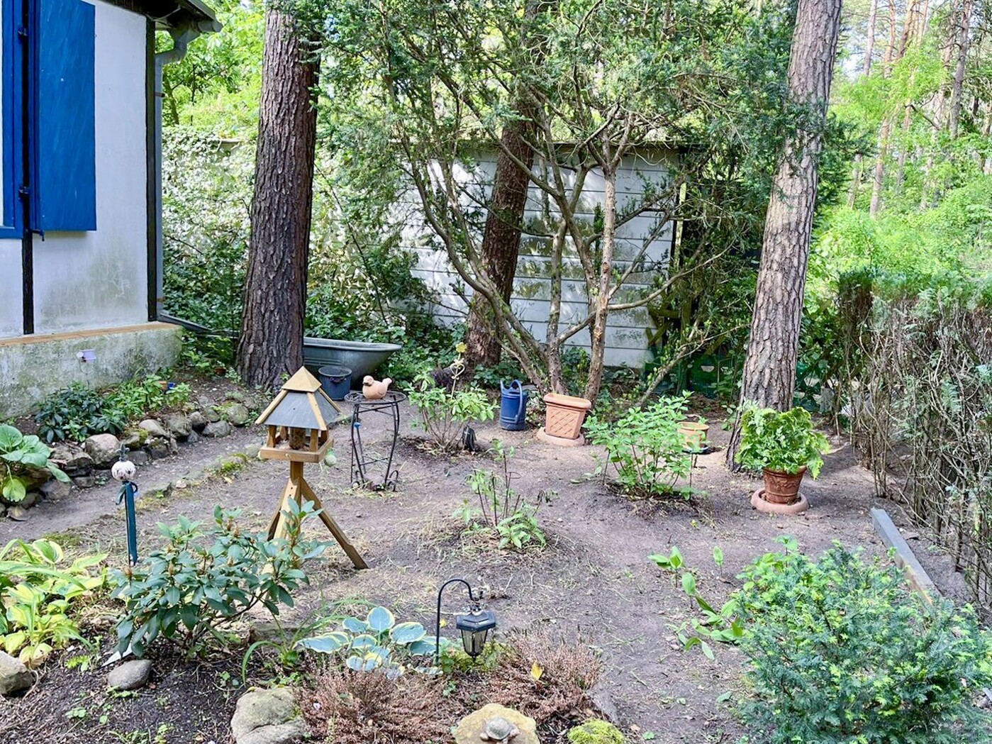 Gartenbereich