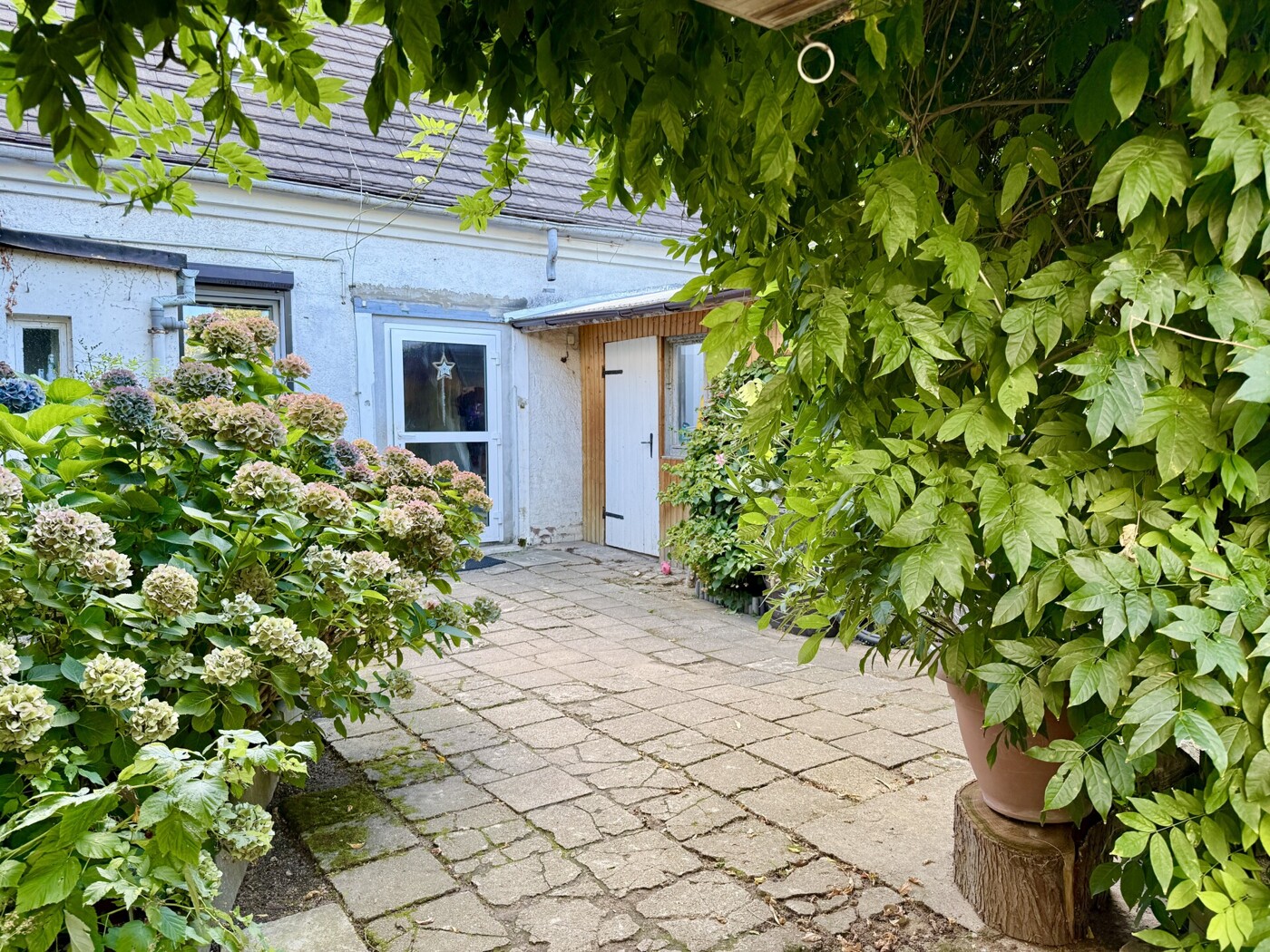 Innenhof - Sommer | August 2025