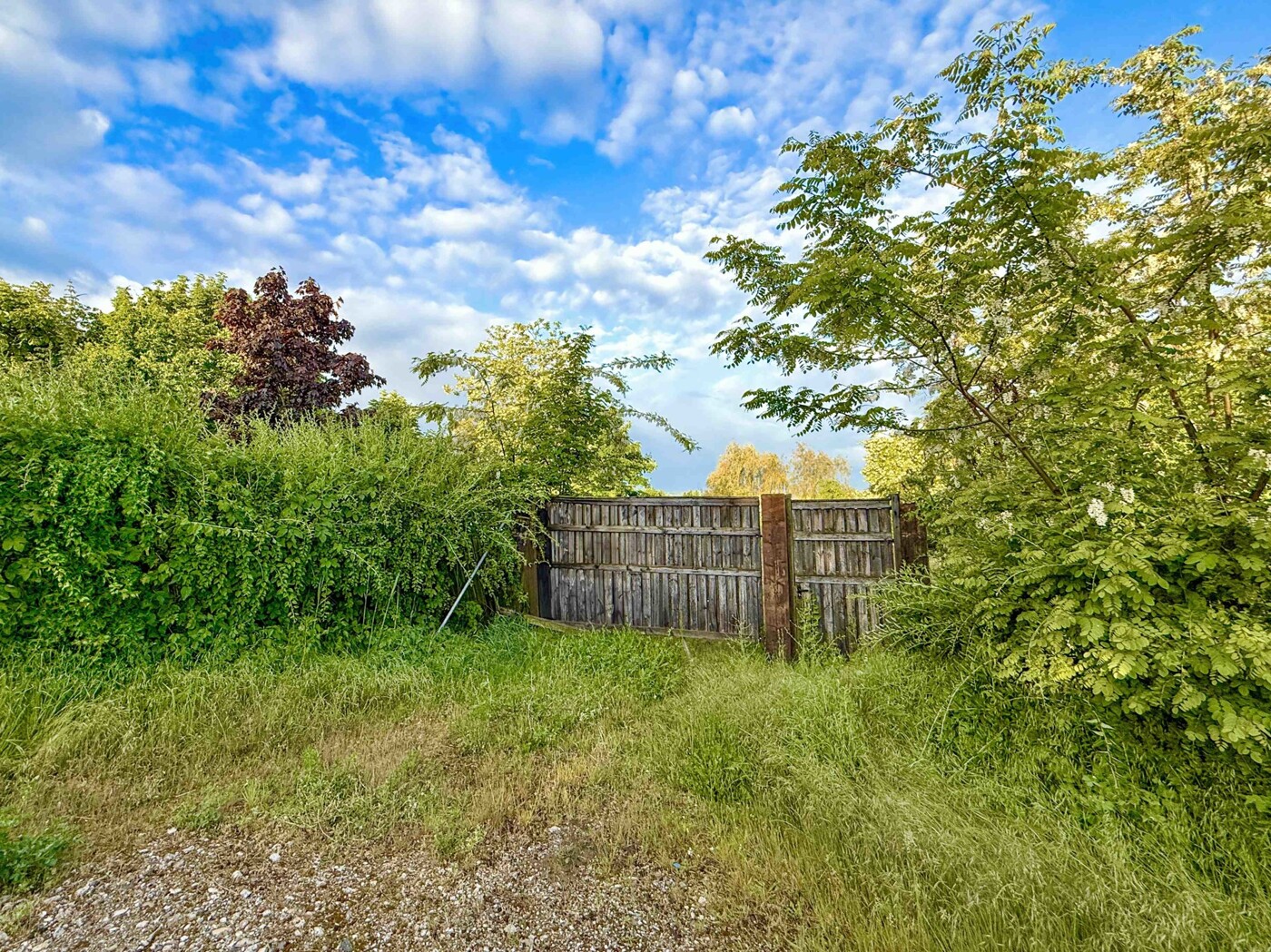 Einfahrt zum Grundstück