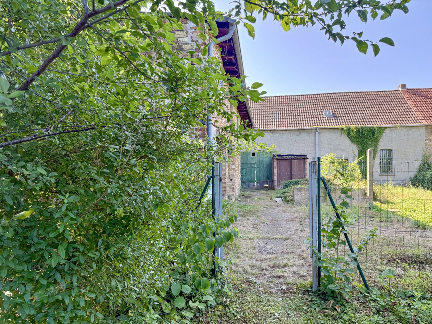 Gartenblick Richtung Nebengelass