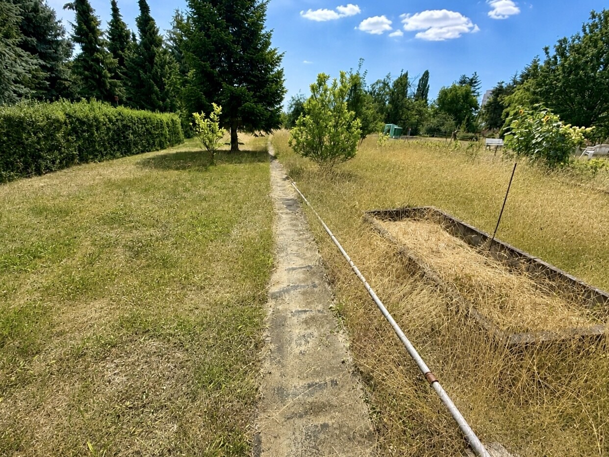 Garten