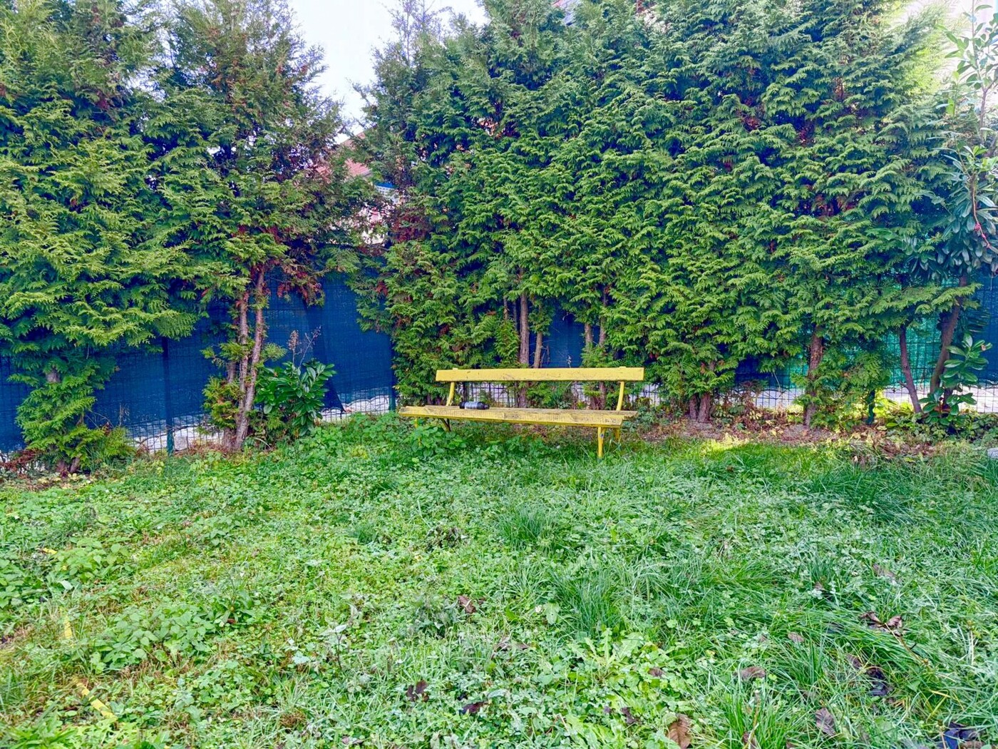Gartenbereich