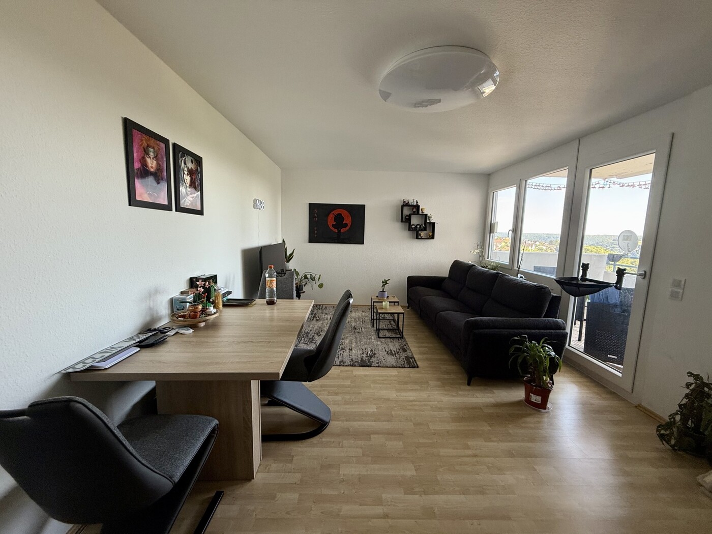 Wohn/Esszimmer