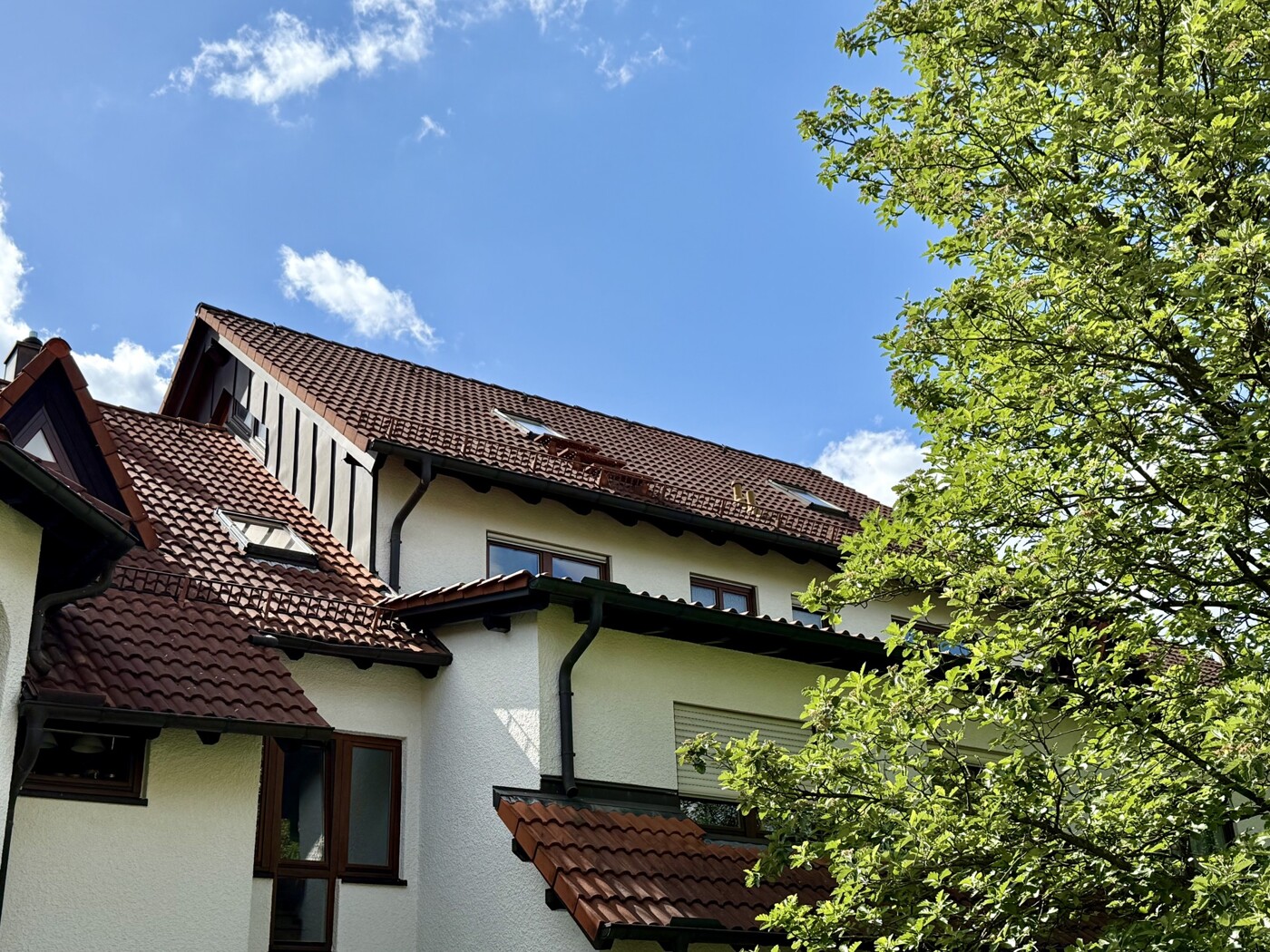 Haus im Haus