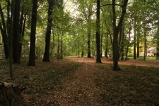 Kleinsteinberg158_17