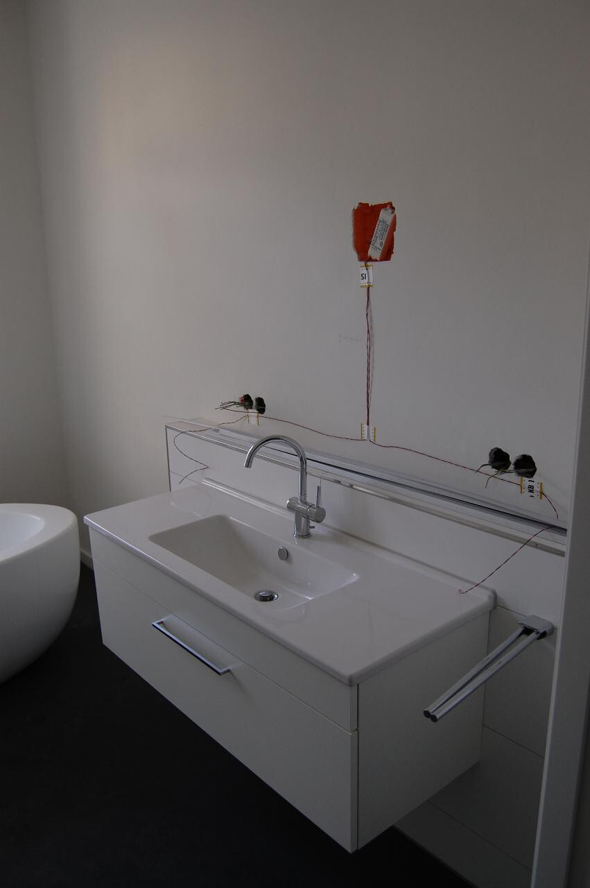 Waschbecken (noch ohne Spiegel)