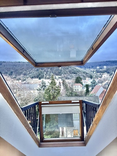 DACHFENSTER offen