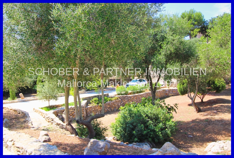 Haus im mallorquinischen Finca-Style in top Lage von S'Estepa - Son Servera — Foto 5
