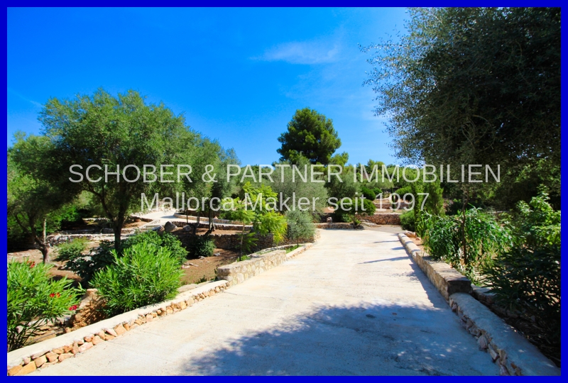 Haus im mallorquinischen Finca-Style in top Lage von S'Estepa - Son Servera — Foto 4