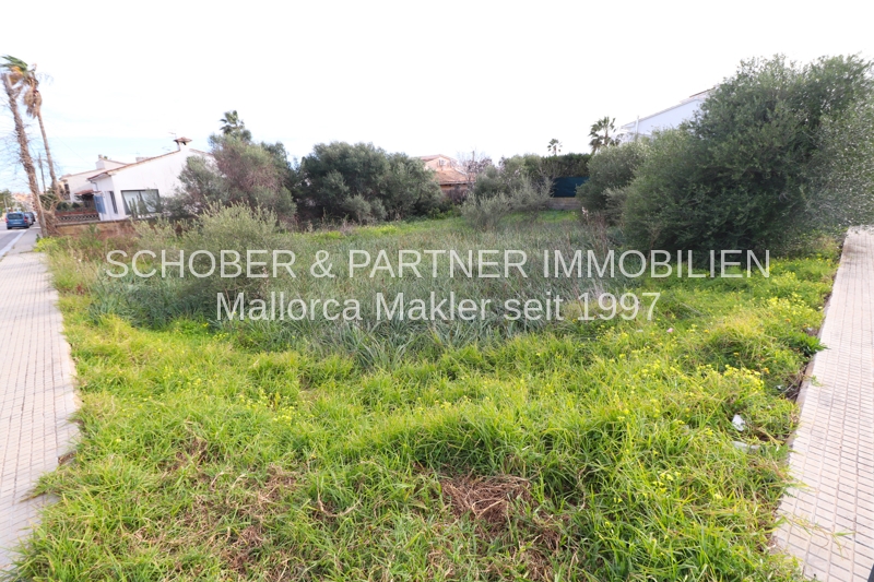 Grundstück zur Einfamilienhaus-Bebauung in Cala Millor