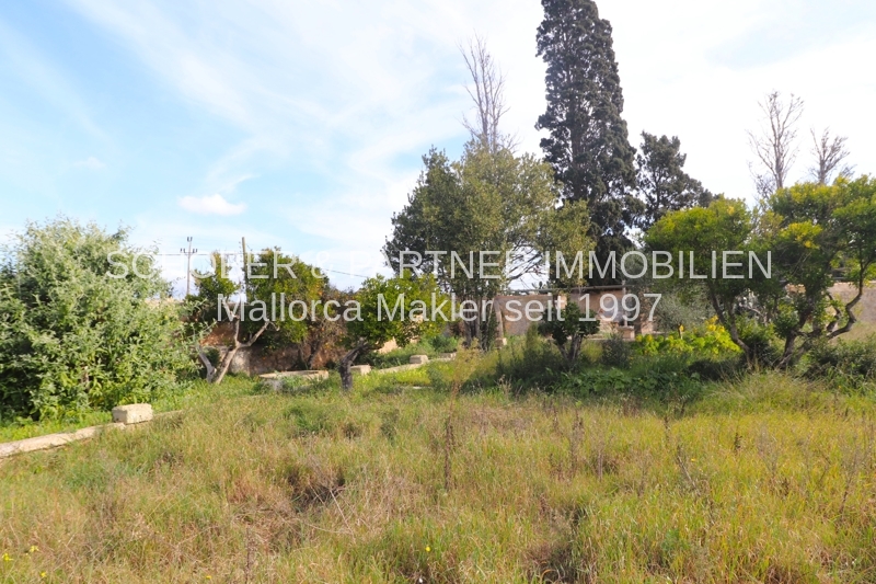 EIN ROH-DIAMANT WARTET AUF DEN SCHLIFF - Altes Landgut/Finca an der Stadtgrenze zu Manacor gelegen — Foto 20