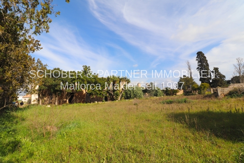 EIN ROH-DIAMANT WARTET AUF DEN SCHLIFF - Altes Landgut/Finca an der Stadtgrenze zu Manacor gelegen — Foto 5