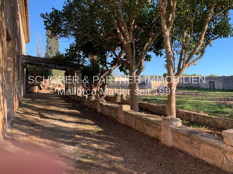 EIN ROH-DIAMANT WARTET AUF DEN SCHLIFF - Altes Landgut/Finca an der Stadtgrenze zu Manacor gelegen — Foto 9