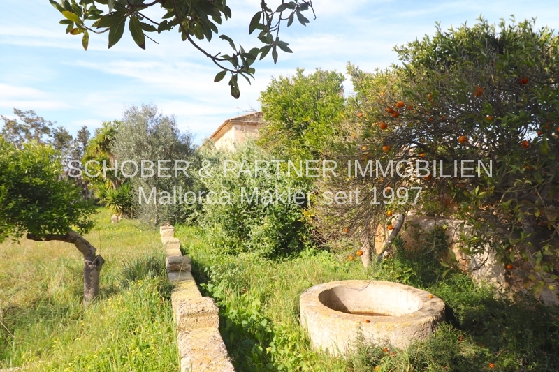 EIN ROH-DIAMANT WARTET AUF DEN SCHLIFF - Altes Landgut/Finca an der Stadtgrenze zu Manacor gelegen — Foto 10