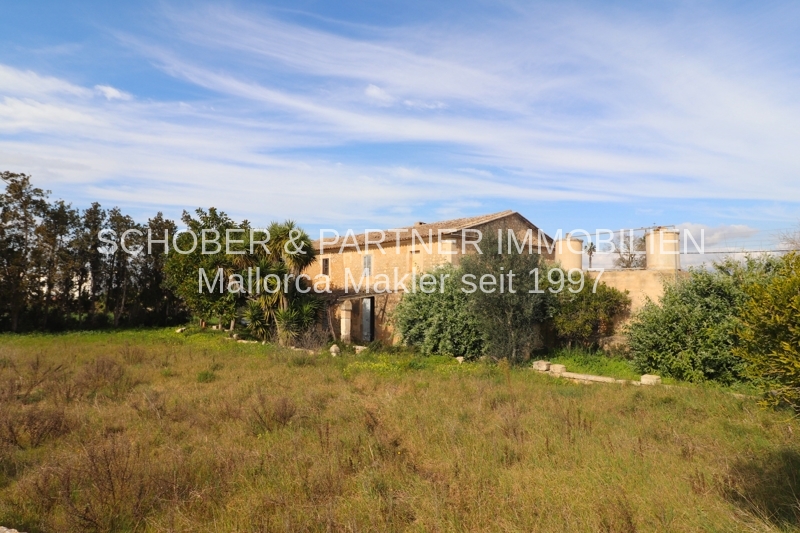 EIN ROH-DIAMANT WARTET AUF DEN SCHLIFF - Altes Landgut/Finca an der Stadtgrenze zu Manacor gelegen — Foto 22