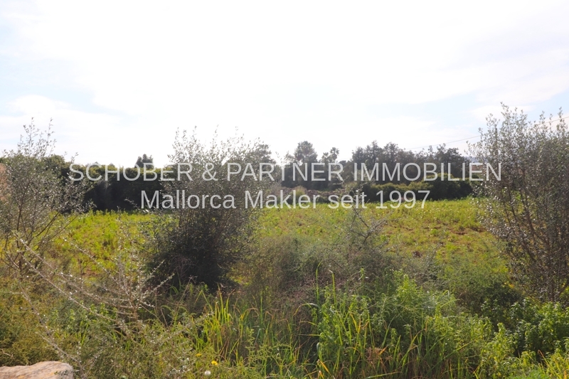 EIN ROH-DIAMANT WARTET AUF DEN SCHLIFF - Altes Landgut/Finca an der Stadtgrenze zu Manacor gelegen — Foto 19