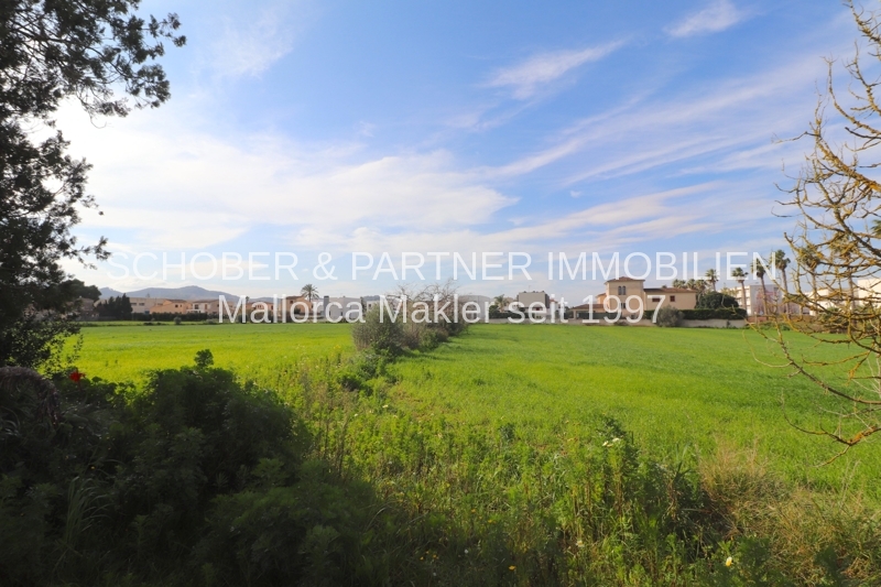 EIN ROH-DIAMANT WARTET AUF DEN SCHLIFF - Altes Landgut/Finca an der Stadtgrenze zu Manacor gelegen — Foto 6
