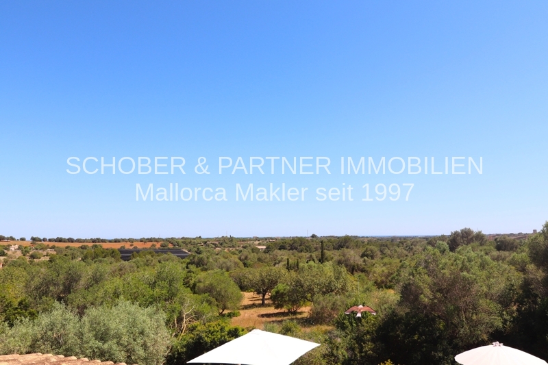 Son Carrio - Sant Llorenç - Finca mit Pool und umfangreicher technischer Ausstattung — Foto 35