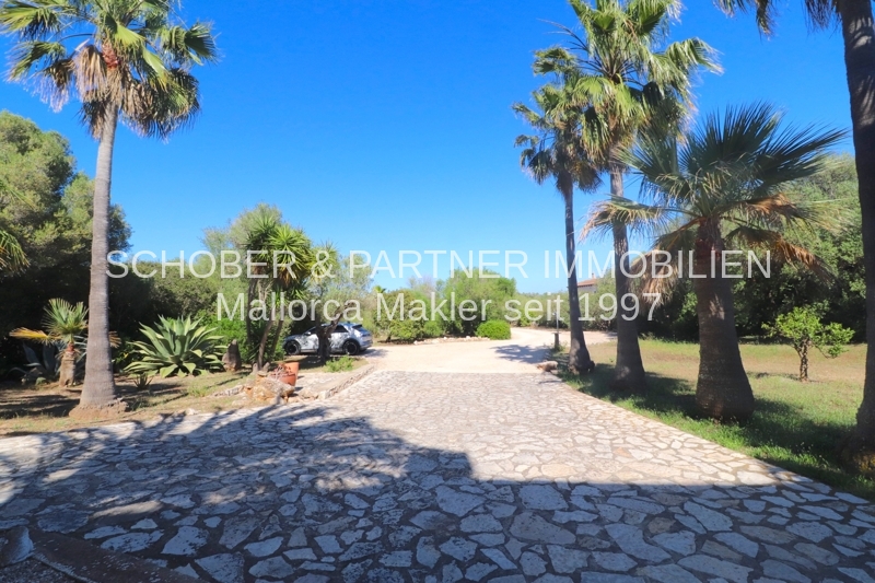 Son Carrio - Sant Llorenç - Finca mit Pool und umfangreicher technischer Ausstattung — Foto 42