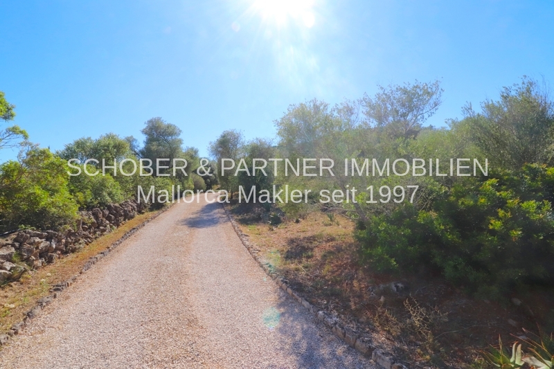 Son Carrio - Sant Llorenç - Finca mit Pool und umfangreicher technischer Ausstattung — Foto 48