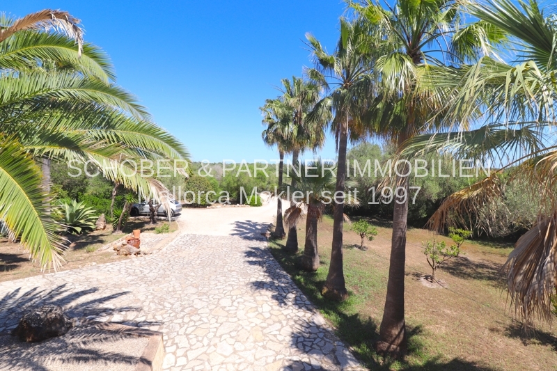 Son Carrio - Sant Llorenç - Finca mit Pool und umfangreicher technischer Ausstattung — Foto 39
