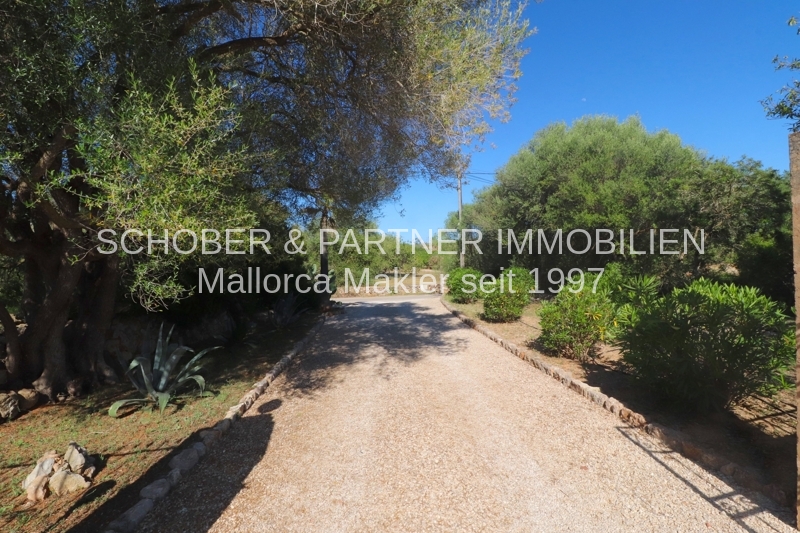 Son Carrio - Sant Llorenç - Finca mit Pool und umfangreicher technischer Ausstattung — Foto 47