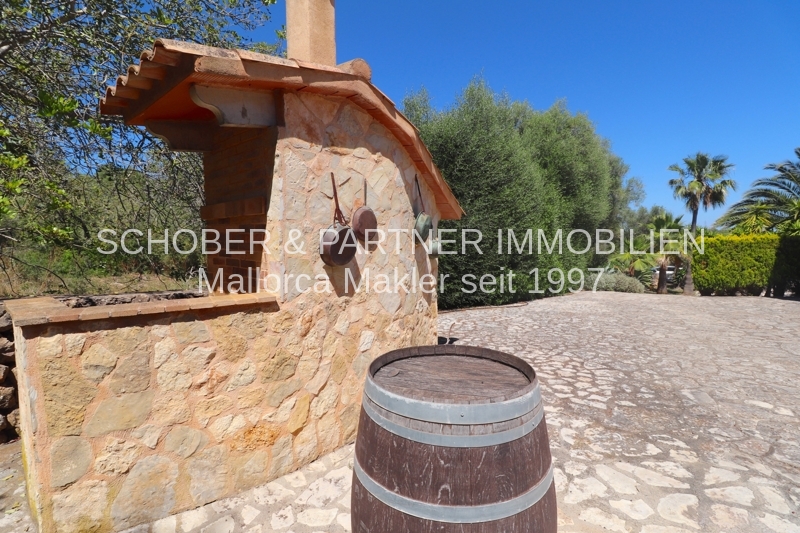 Son Carrio - Sant Llorenç - Finca mit Pool und umfangreicher technischer Ausstattung — Foto 20