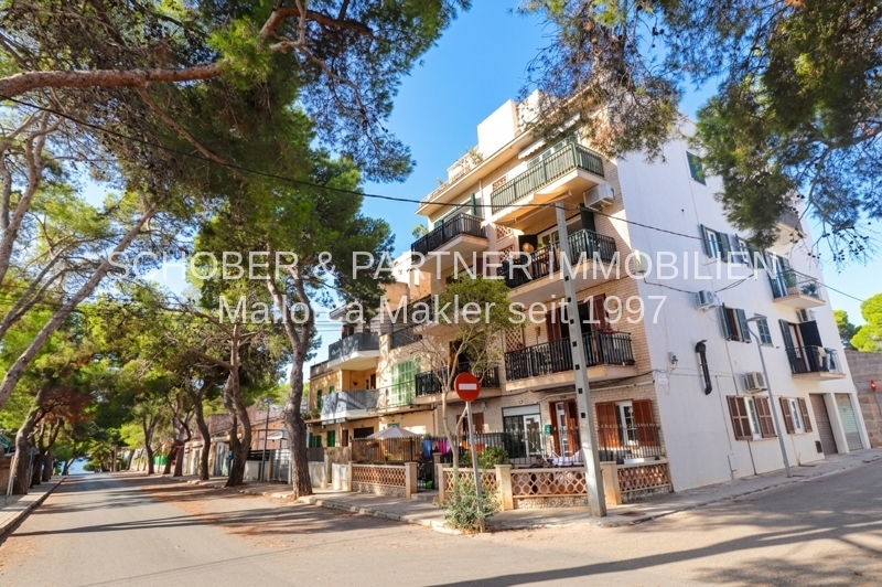 Gepflegte 4-Zi-Wohnung - wenige Gehminuten zum Meer - zentrale / ruhige Lage in Porto Cristo
