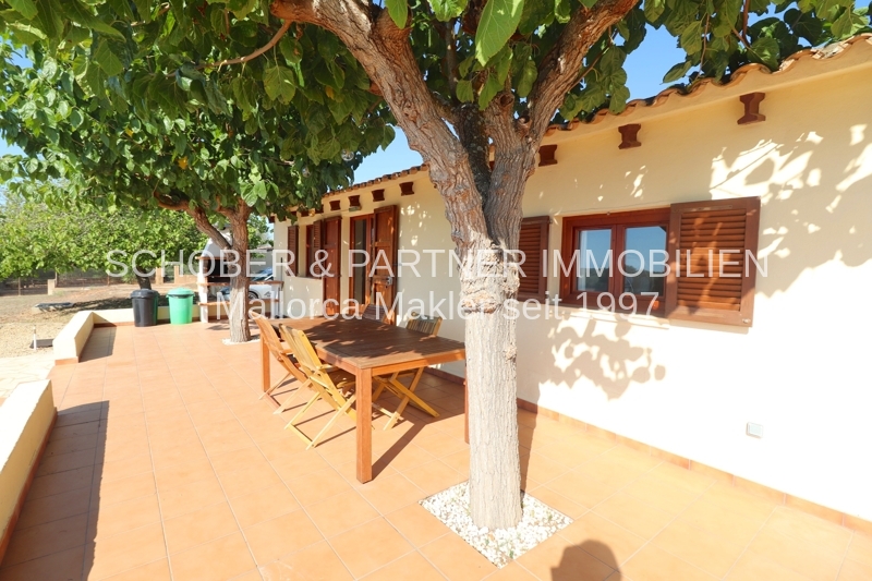 Gepflegte Finca mit Meerblick, Ferien-Vermietungslizenz und Erweiterungspotenzial an der Ostküste — Foto 5