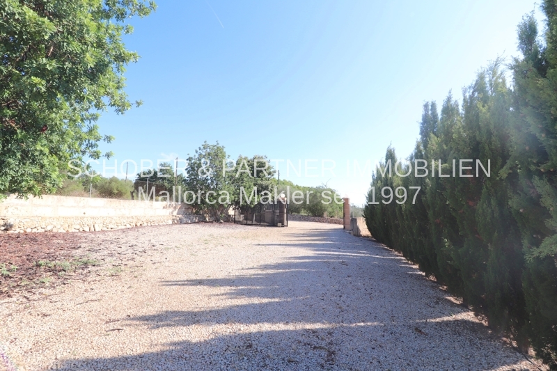 Gepflegte Finca mit Meerblick, Ferien-Vermietungslizenz und Erweiterungspotenzial an der Ostküste — Foto 20