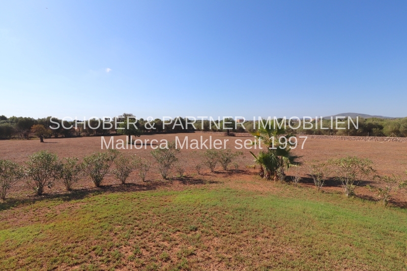 Gepflegte Finca mit Meerblick, Ferien-Vermietungslizenz und Erweiterungspotenzial an der Ostküste — Foto 24