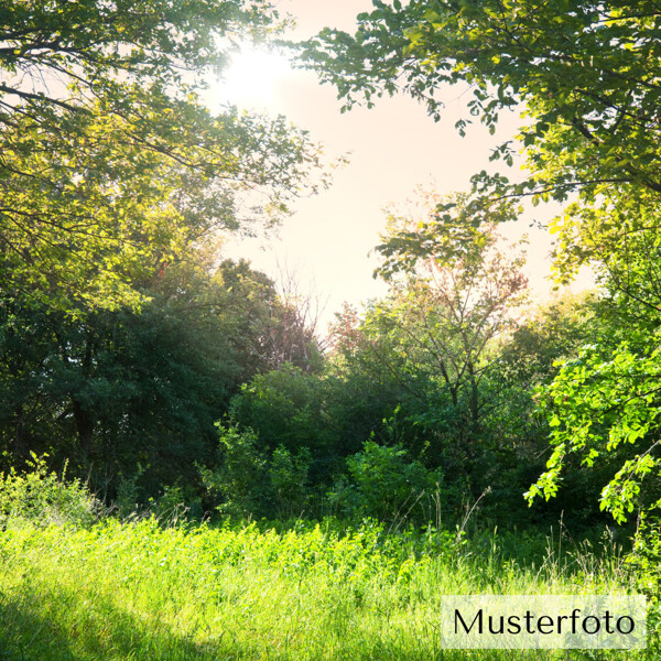 Musterfoto
