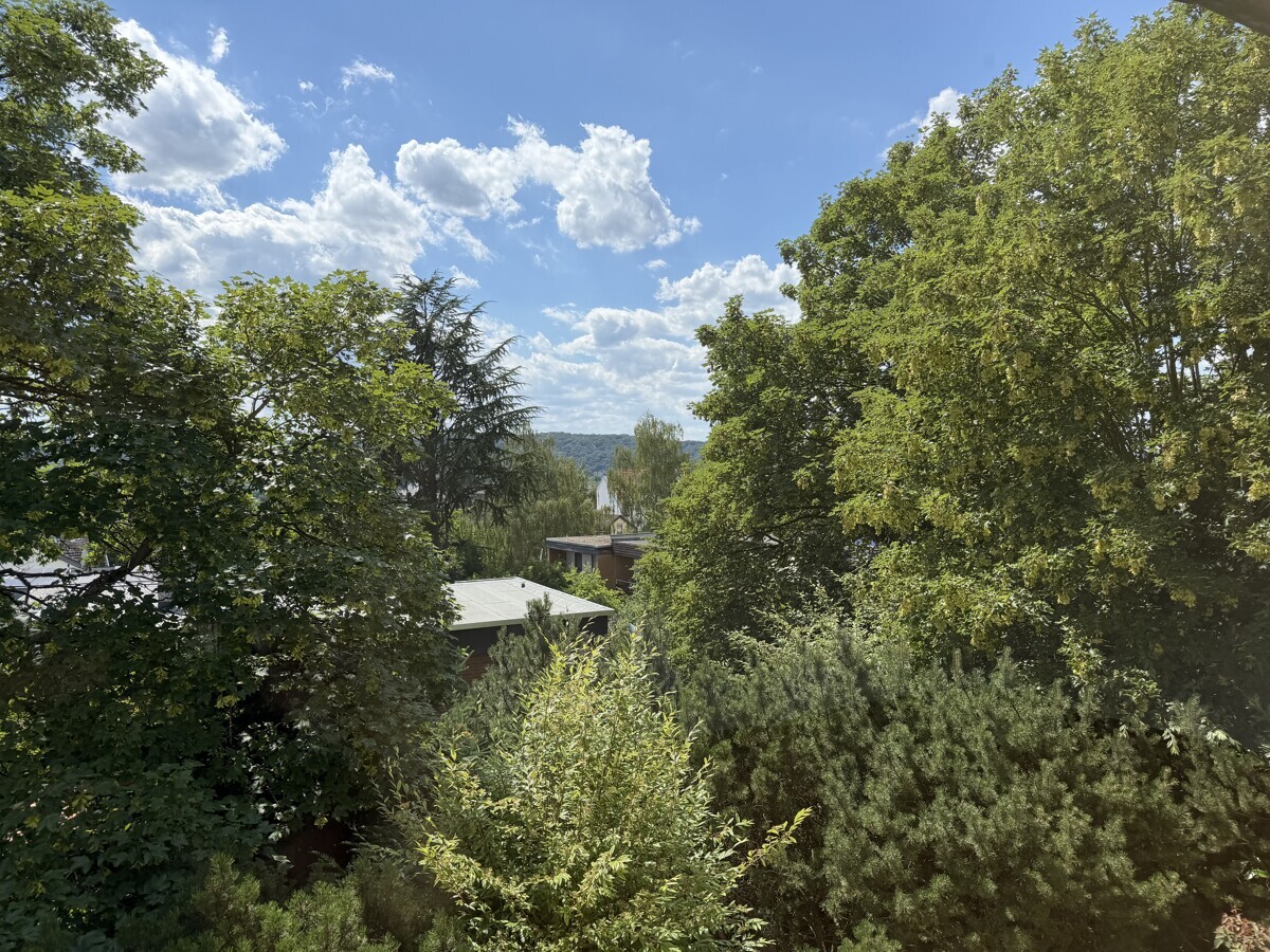 Ausblick