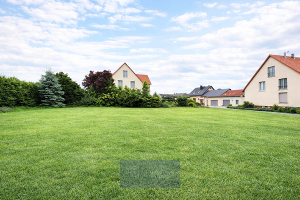 Grünes Grundstück zwischen Wohnhäusern