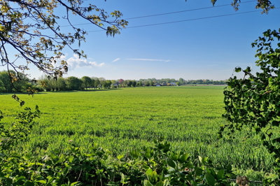 Blick über die Felder