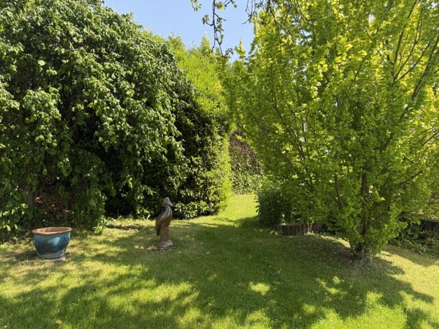 Ruhe pur