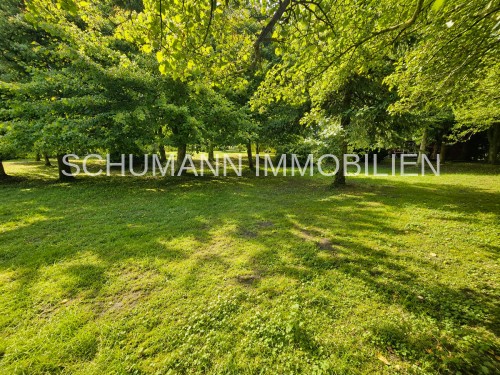 Blick ins Grüne
