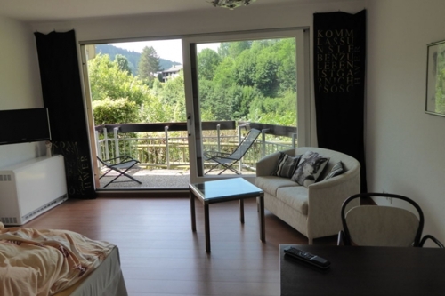 Wohn- Schlafzimmer.png