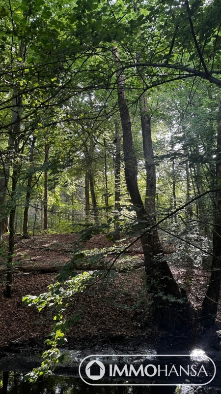 Umgebungsbild Hasenburger Bachtal