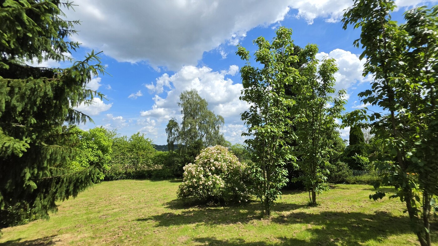 Garten 2