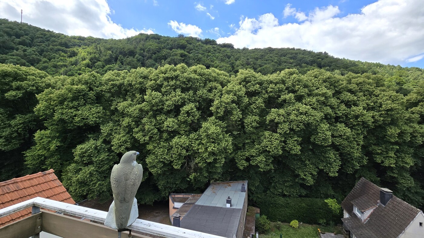 Ausblick Dachterrasse