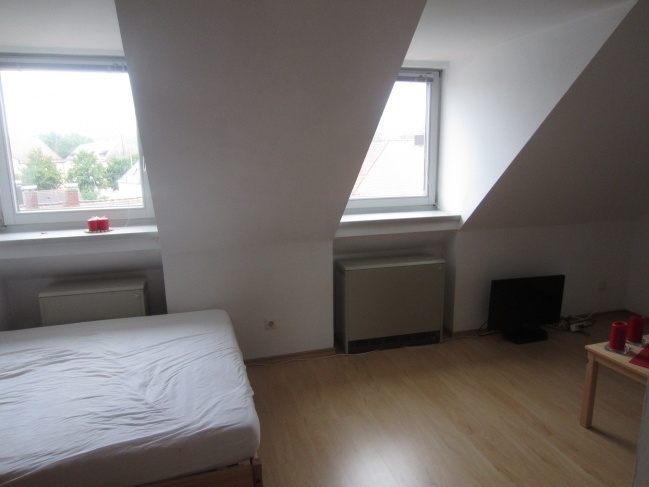 Gemütliche 1-Zimmer DG-Wohnung ruhig gelegen mit Gartenbenutzung - Photo 3