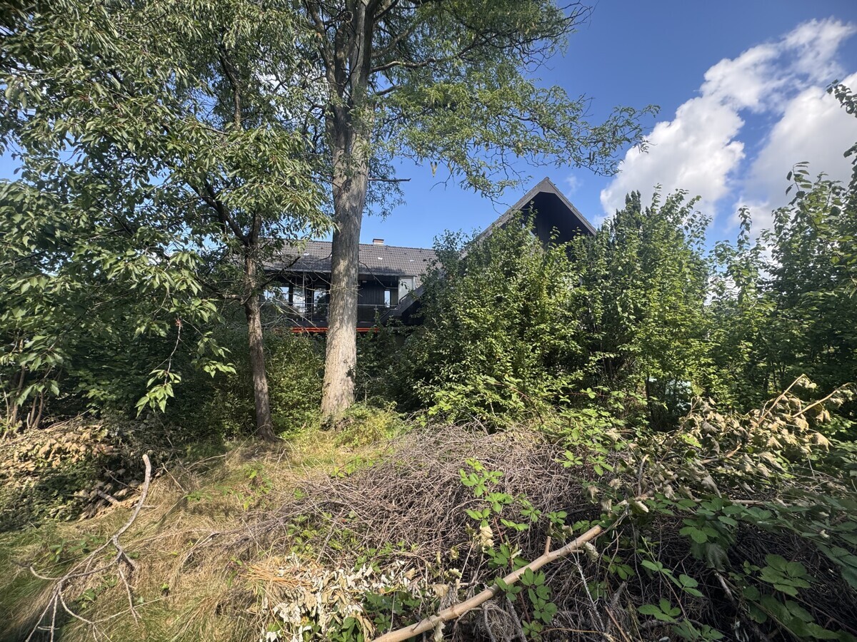 Ausrichtung zur Sonne 