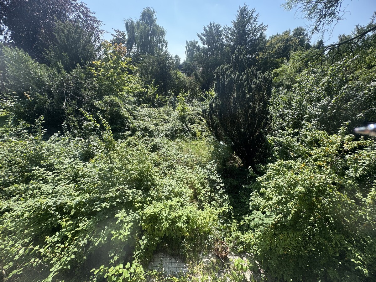  Blick ins Grüne