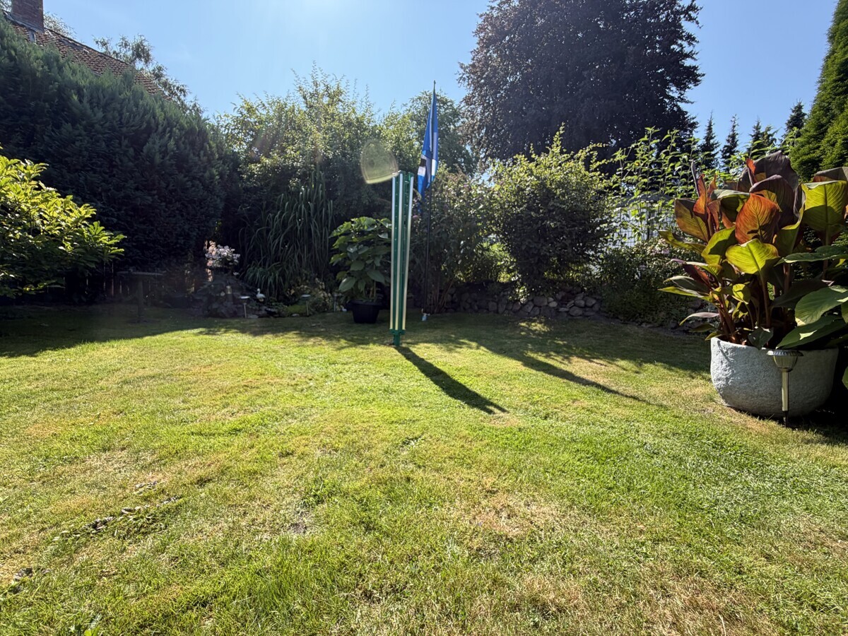 ... sonnig und grün